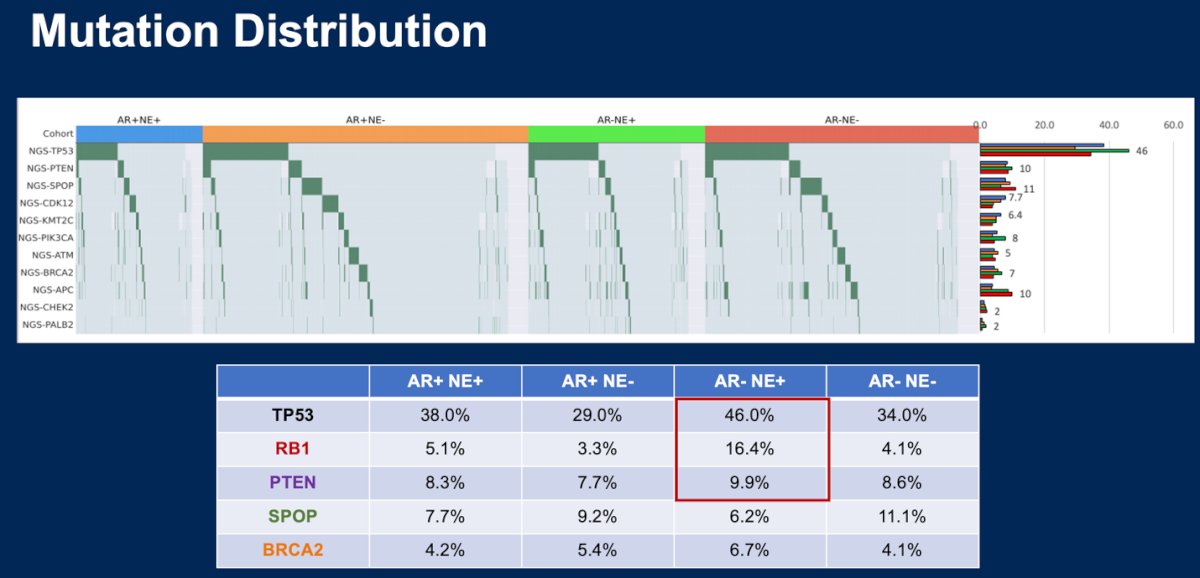 most common gene alterations in each molecular subtype are outlined in the figure below. Briefly, AR-/NE+ had the highest expression of TP53 (46%) and RB1 (16.4%)