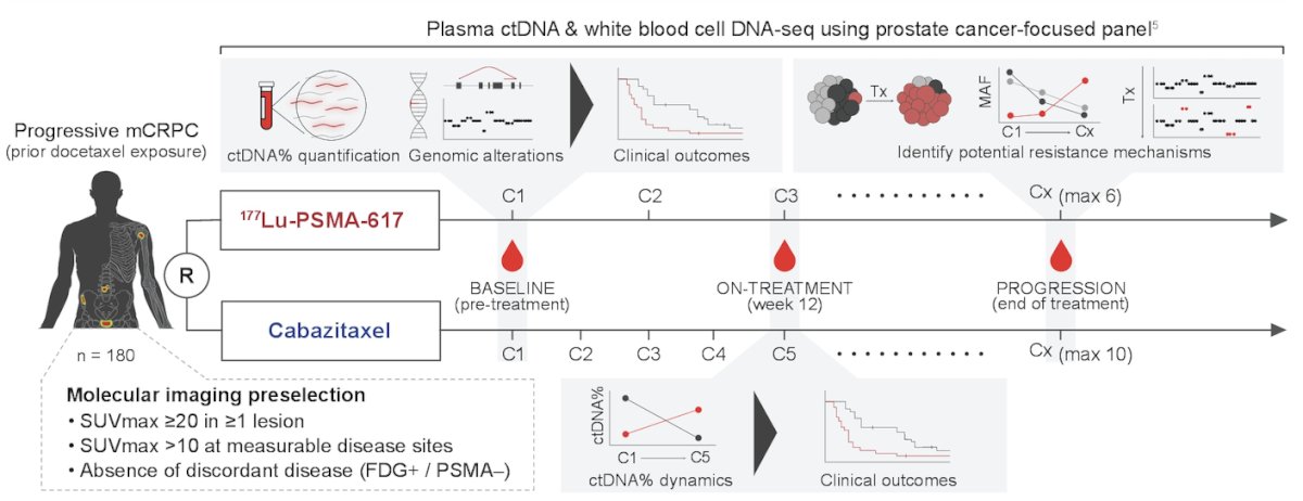 Plasma cell-free DNA and white blood cell DNA underwent targeted sequencing to estimate ctDNA% using a prostate cancer-focused panel 