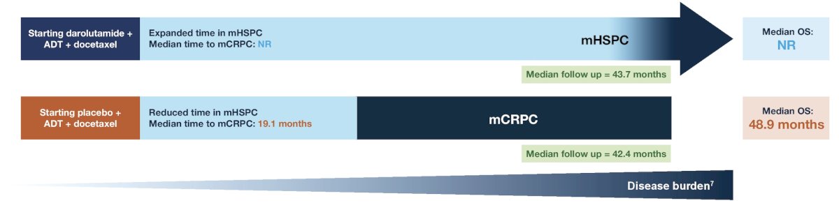 image-4.jpg