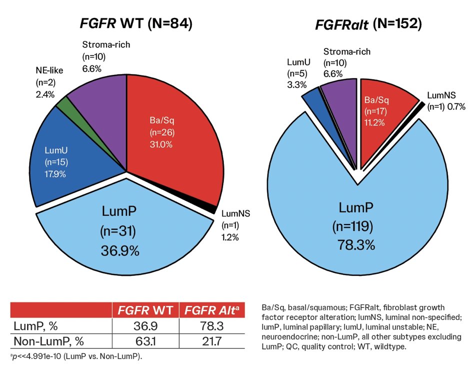 Molecular classification of tumors identified a significant proportion of luminal-papillary subtype in the tumors harboring&nbsp;FGFR3 alteration&nbsp;compared to FGFR wild-type 2