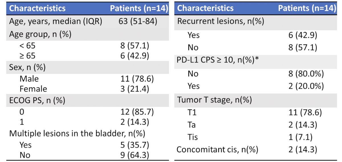 14 patients were enrolled and received at least one dose of camrelizumab, all of whom were included in the safety analysis. The baseline characteristics