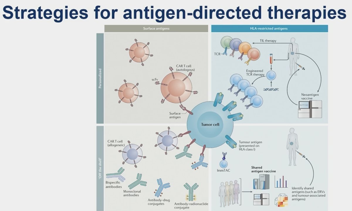 “adding a steering wheel” by discussing strategies for antigen-directed therapies