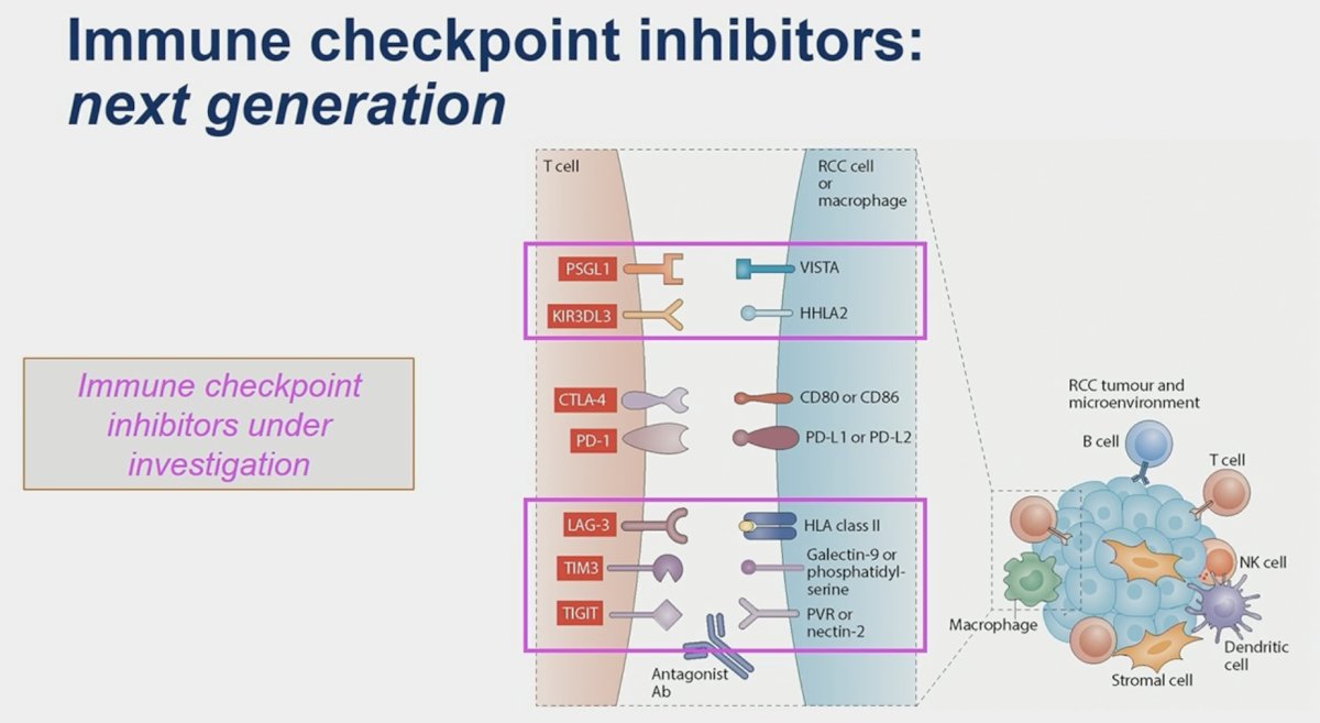 currently numerous additional immune checkpoint inhibitors under investigation