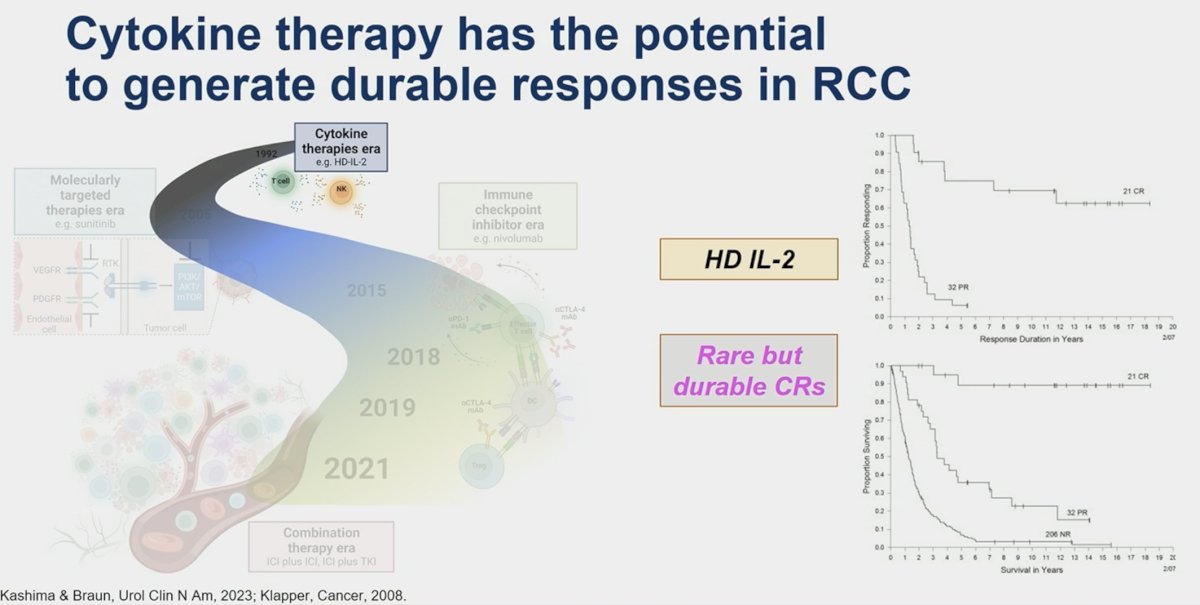 cytokine therapy has the potential to generate durable responses in RCC
