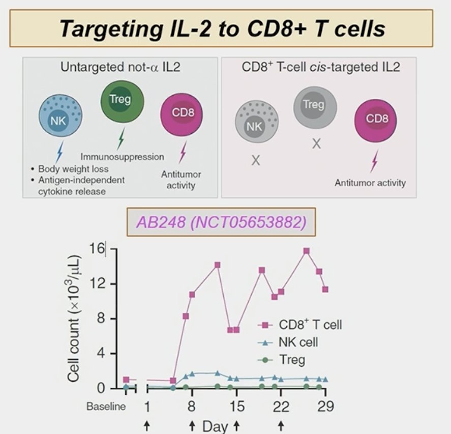  CD8-targeted ILD2 fusion molecule that aims to selectively reactivate intratumoral CD8+ T cells in patient-derived tumor fragments.