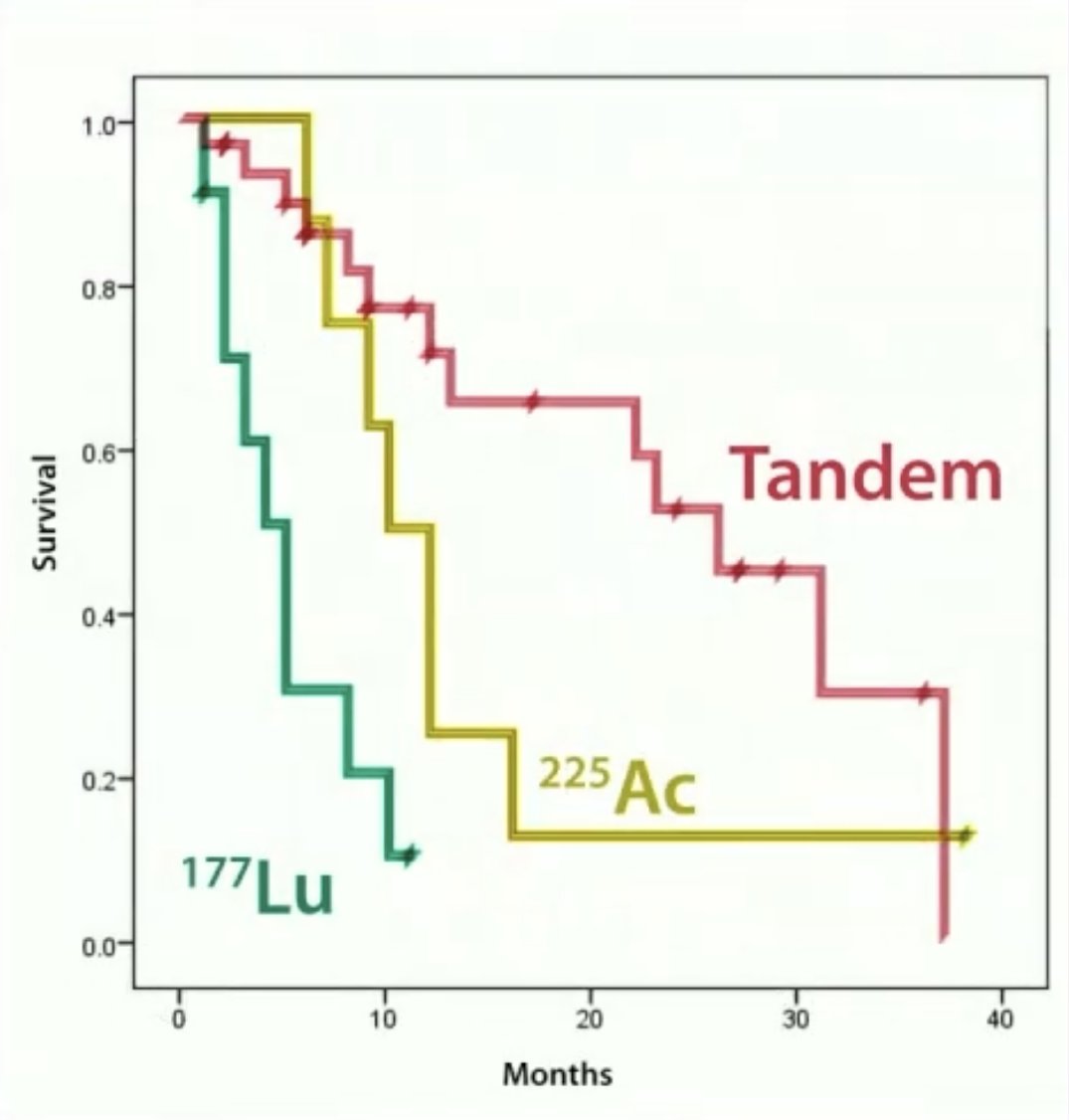 The mean survival of patients in this cohort was 11.2 months, while the mean ‘lifespan with satisfied quality’ was 9.5 months