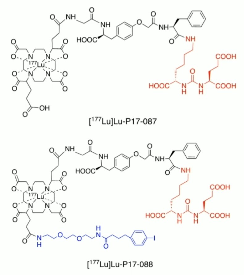 Biodistribution and dosimetry of two novel PSMA-targeting radionuclide therapy agents, 177Lu-P17-087, and its albumin binder modified derivative, 177Lu-P17-088, were evaluated in metastatic castration-resistant prostate cancer patients