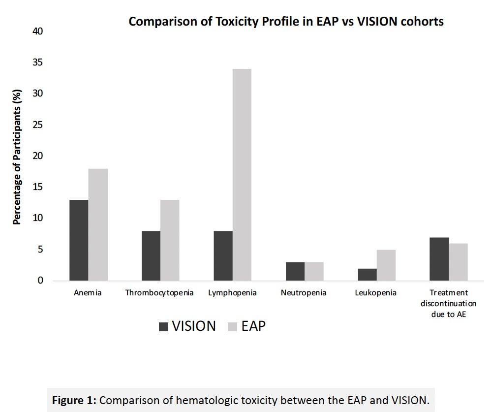 VISION toxicity