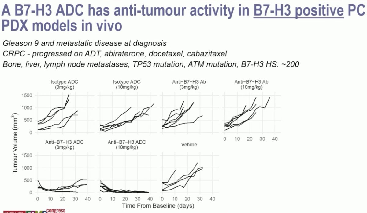 B7-H3 antibody-drug conjugate had anti-tumor activity in these B7-H3 positive cells