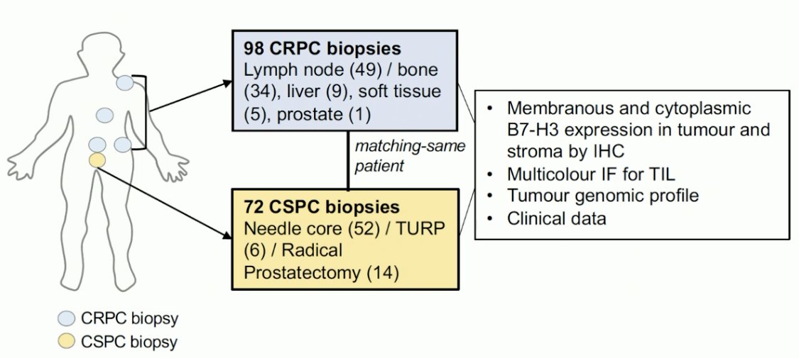 evaluated B7-H3 expression in 98 CRPC biopsies