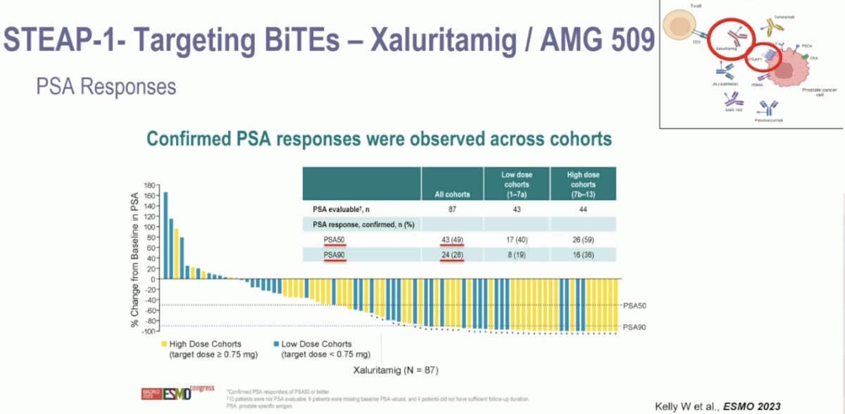 PSA50 response was observed in 49% of patients, and a PSA90 response was observed in 30%