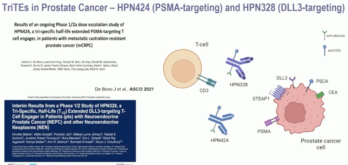 two tri-specific T cell engagers have been evaluated in prostate cancer: