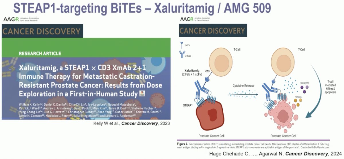 Xaluritamig (AMG 509) is a STEAP-1 targeting bi-specific T-cell engager that has been evaluated in mCRPC patients.