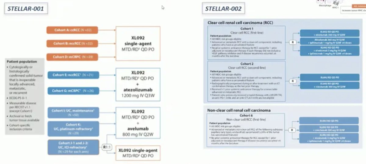 Another alternative proangiogenic pathway inhibitor in RCC is XL-092, which is being tested in the STELLAR-001 and STELLAR-002 trials