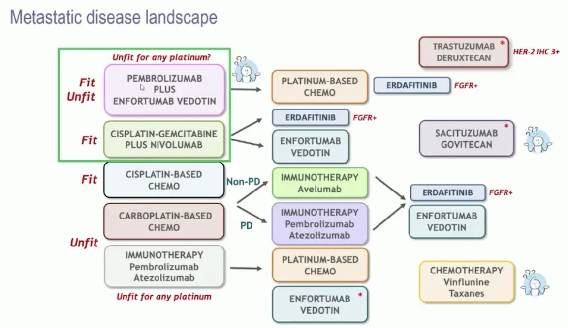 novel agents and promising combinations in urothelial carcinoma. The current landscape for metastatic urothelial carcinoma is highlighted below