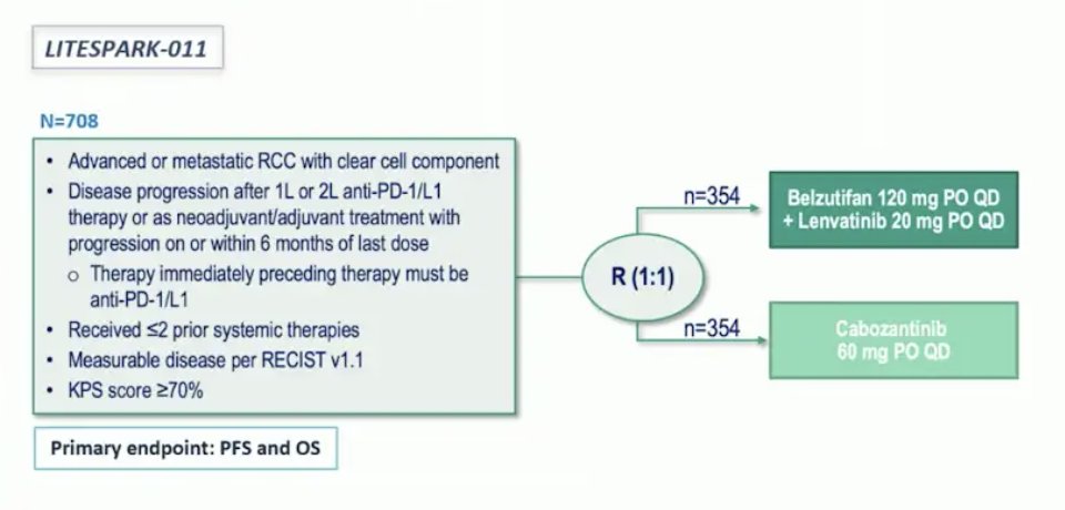 ongoing trials incorporating belzutifan, including LITESPARK-011, LITESPARK-012, and LITESPARK-024