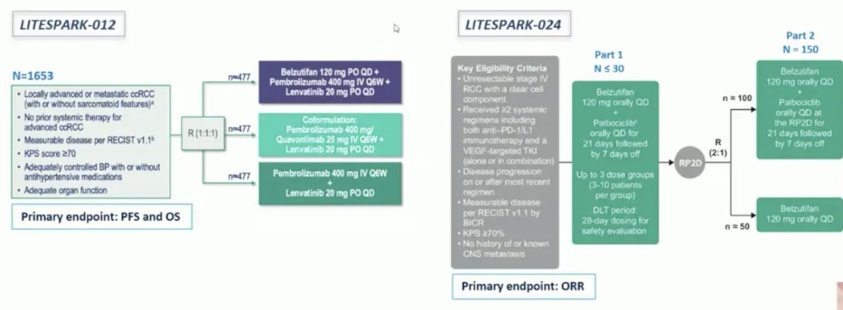 ongoing trials incorporating belzutifan, including LITESPARK-011, LITESPARK-012, and LITESPARK-024 2