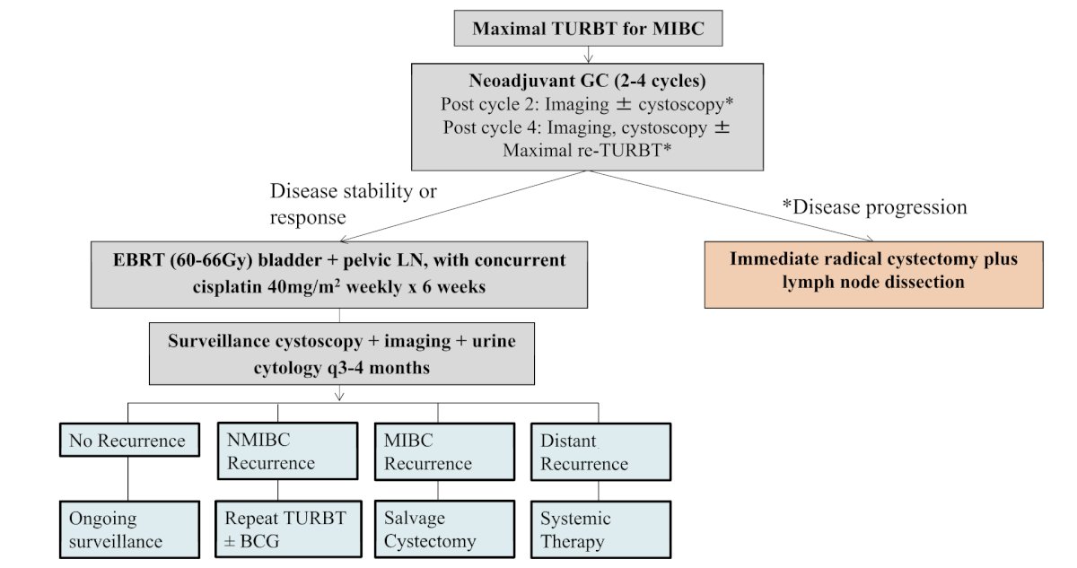Jiang and colleagues have proposed the following response adapted therapy algorithm for trimodal therapy with neoadjuvant chemotherapy