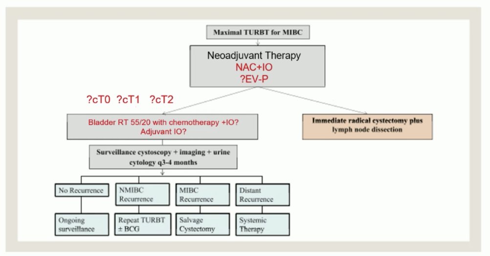 Dr. Ballas notes that a treatment algorithm needs to take into account other forms of neoadjuvant therapy (ie. neoadjuvant chemotherapy + IO, enfortumab vedotin + pembrolizumab), how best to assess clinical response/post treatment clinical stage, and take into account hypofractionated radiotherapy regimens