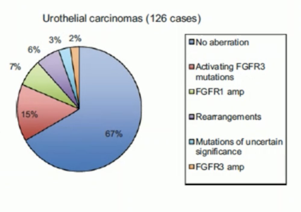 Interestingly, an analysis of UC (n=126) showed that approximately 67% of patients had no FGFR mutations, fusions, or rearrangements. Activating FGFR3 mutations were present in 15% of patients, while FGFR1 amplifications were found in only 7%