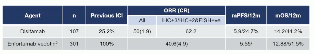  Dr. Galsky’s study indicated that DV+P showed encouraging preliminary activity in both HER2-positive and HER2-low patients, but the role of HER2 as a targeting biomarker remains uncertain.
