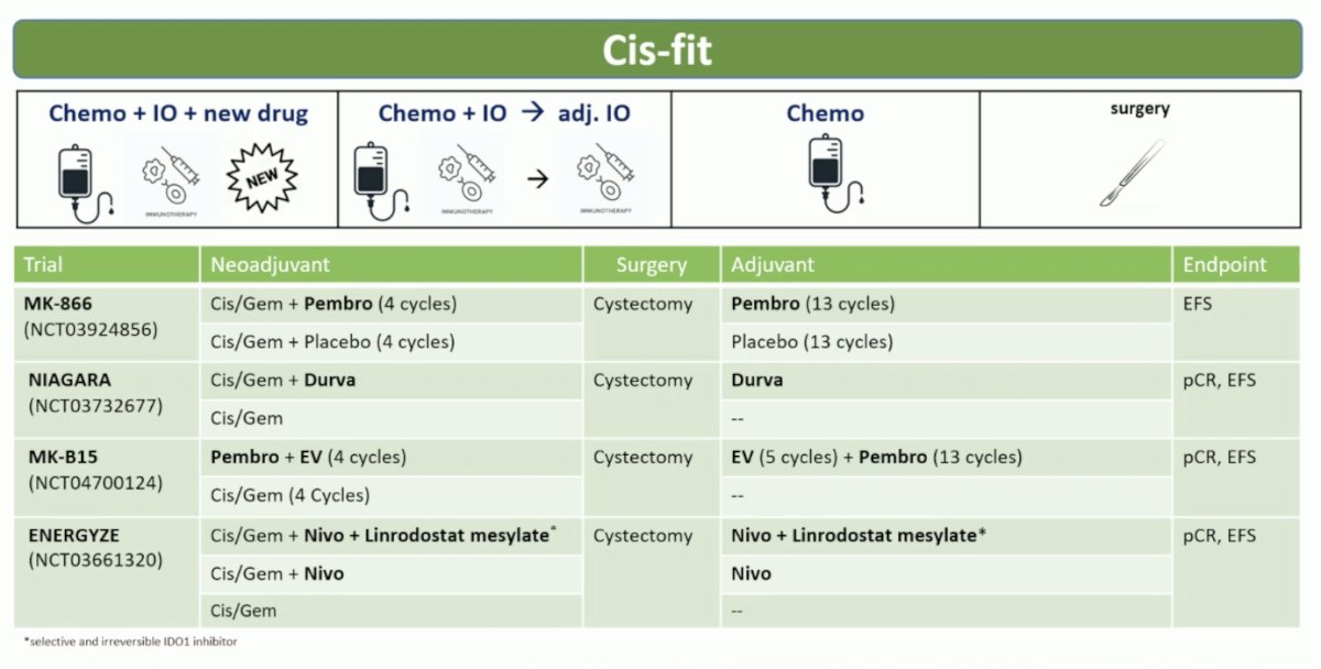 image-6.jpg