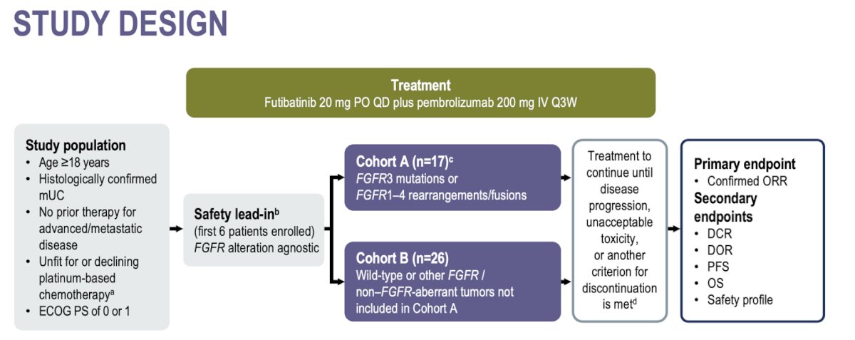 futibatinib plus pembrolizumab study design