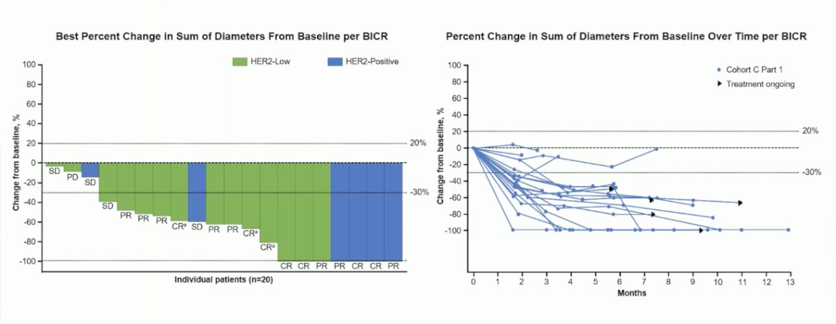 RC48G001 percent change in the sum of diameters from baseline is illustrated in the spider plot below, again confirming response in both the HER2-positive and HER2-low groups.