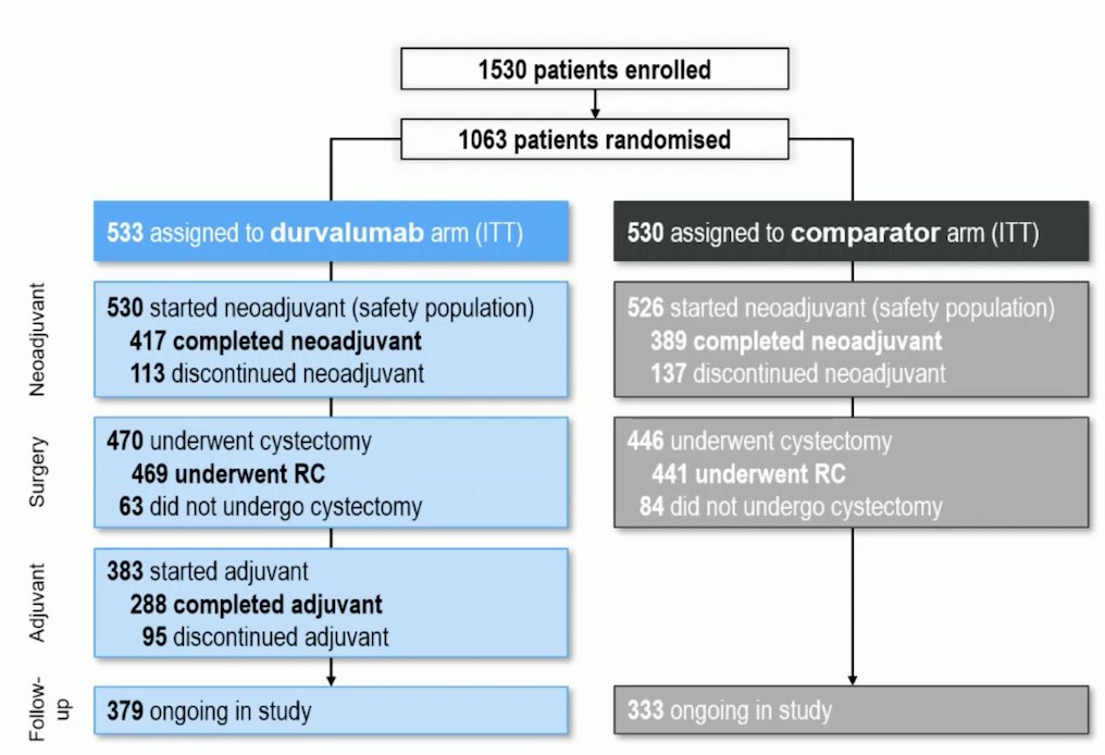A total of 1,530 patients were enrolled in the NIAGARA trial, and 1,063 were eventually randomized: 533 to the Durvalumab arm and 530 to the comparator arm in the intention-to-treat (ITT) population
