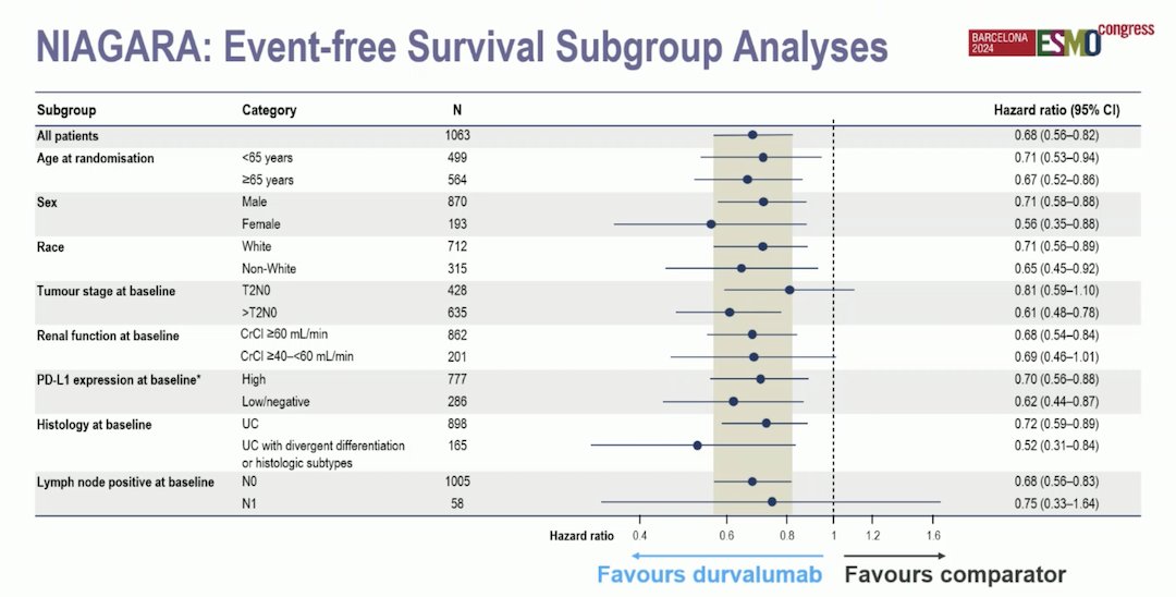 NIAGARA Durvalumab was favored across almost all subgroups, except for the N1 disease at baseline group, where the confidence interval crossed 1 (HR 0.75, 95% CI: 0.22–1.64), which could be attributed to the small sample size in this group
