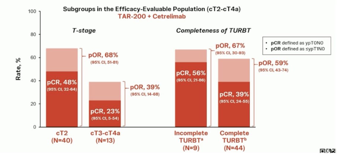  pathologic complete response rate and pathologic objective response rates were 48% and 68% respectively