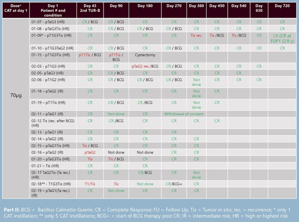 overall response rate of the combination of TURBTs, CAT, and BCG was 96%.