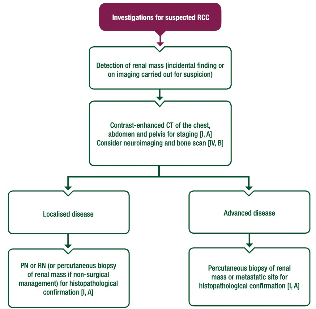2024 ESMO guidelines