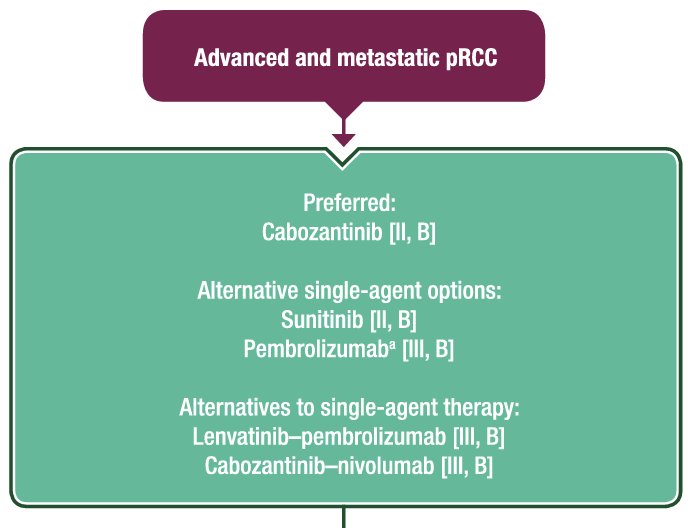 current state of the evidence in the papillary RCC disease space by emphasizing that cabozantinib is the preferred treatment option in the 1st line setting