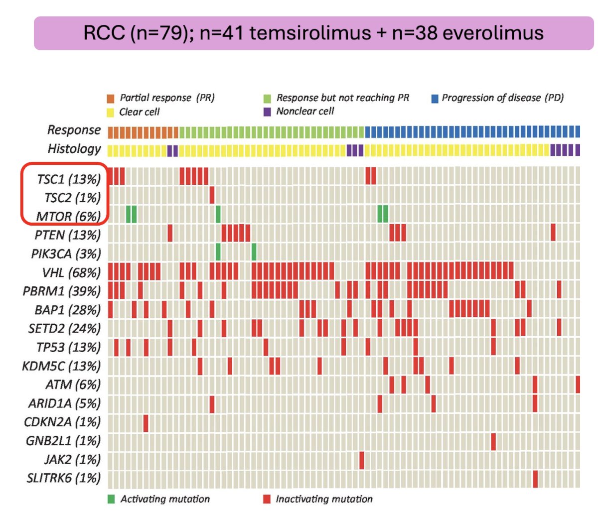 RCC associated with tuberous sclerosis complex
