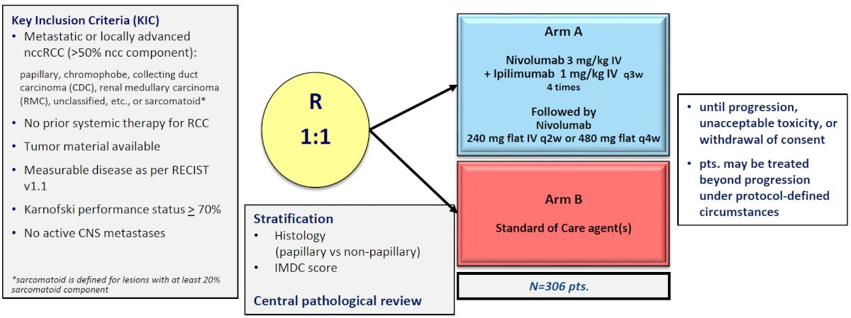 SUNNIFORECAST trial is comparing the combination of ipilimumab + nivolumab to standard of care (mainly sunitinib) in patients with nccRCC