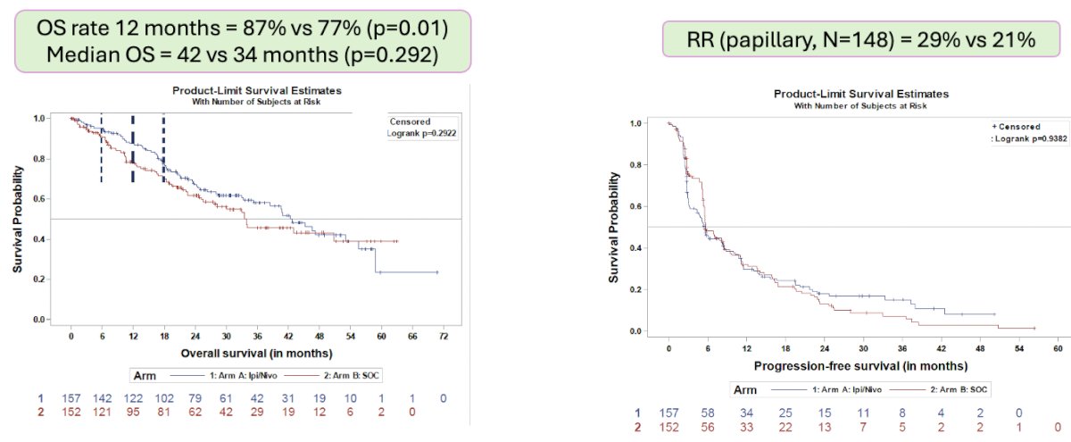 median overall survival favored the experimental ipilimumab + nivolumab arm (42 versus 34 months, p=0.3)