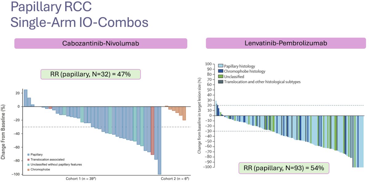 efforts to study other combination regimens of immune checkpoint inhibitors (ICIs) and tyrosine kinase inhibitors (TKIs)