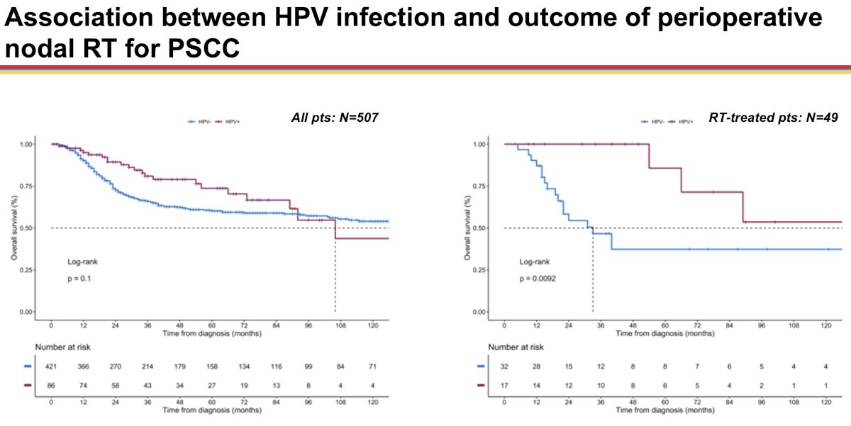 507 patients with penile squamous cell cancer who underwent an inguinal nodal dissection +/- chemotherapy or radiotherapy for the involved nodes demonstrated that HPV+ patients had lower cN stage and inguinal lymph node metastasis density
