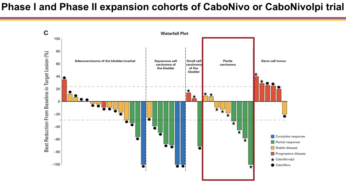 combination of cabozantinib + nivolumab + ipilimumab was associated with a partial response in 4/9 patients, with the remaining five patients having stable disease