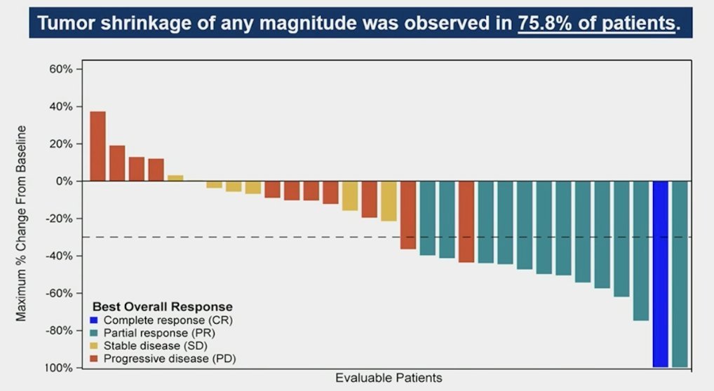 Tumor shrinkage of any magnitude was observed in 76% of patients