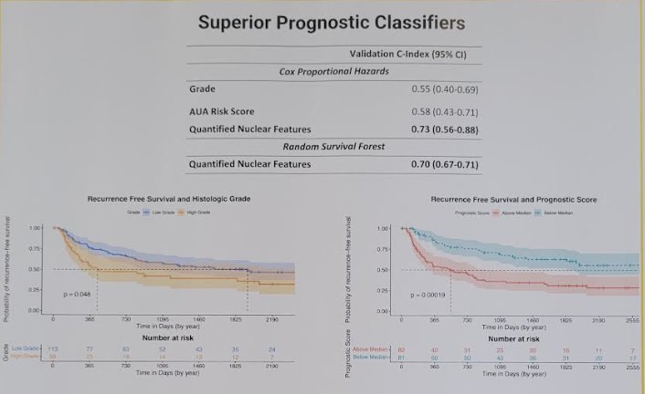 The Cox proportional hazards model achieved a C-index of 0.73 (95% CI: 0.56-0.88) compared to only 0.55 (95% CI: 0.40-0.69) using consensus grading by 3 genitourinary pathologists