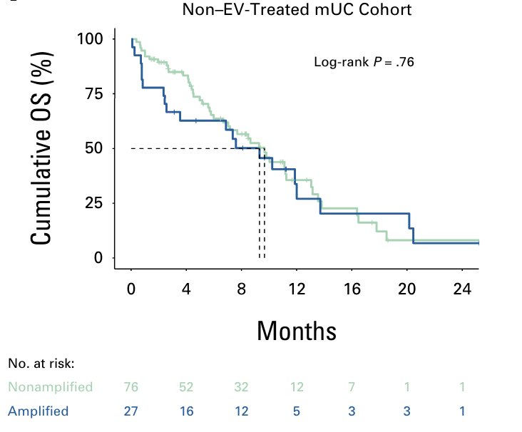 Nectin-4 amplification is not prognostic, as it was not associated with overall survival in non–enfortumab vedotin-treated metastatic urothelial carcinoma