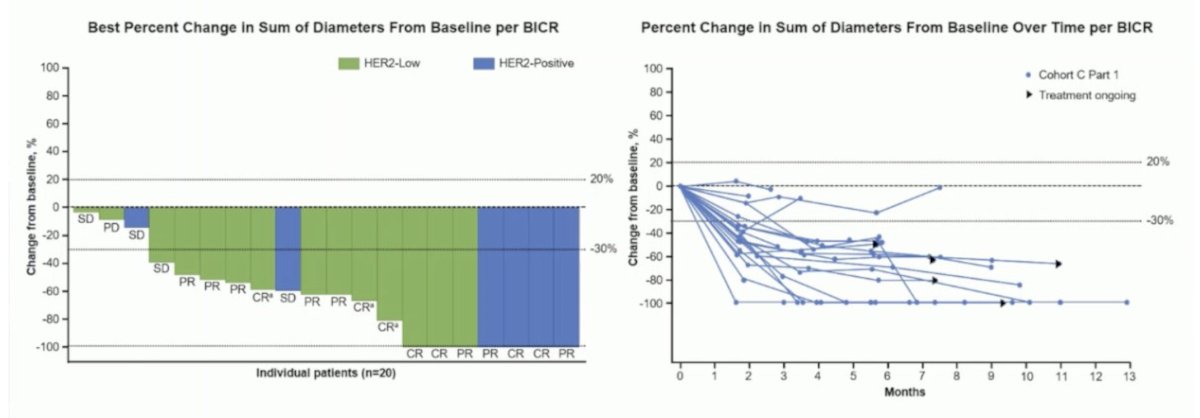 preliminary efficacy and safety of disitamab vedotin with pembrolizumab in the RC48G001 Cohort C trial. Disitamab vedotin confirmed objective response with the best percent change in the sum of diameters from baseline tumors, confirming response in both the HER2-positive and HER2-low groups