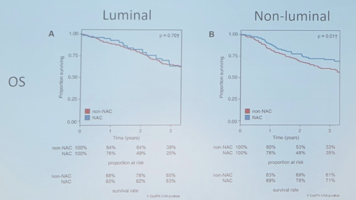 After controlling for clinicopathological variables, non-luminal tumors had greatest benefit from neoadjuvant chemotherapy, with 10% greater overall survival at 3 years (71% vs 61%), while luminal tumors had minimal benefit (63% vs 65%) for neoadjuvant chemotherapy vs non-neoadjuvant chemotherapy