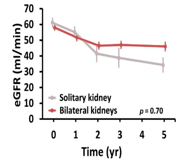 At 5 years post-SABR, patients with solitary kidneys had a 14.5 mL/min mean decrease in eGFR, compared to a 13.3 mL/min mean decrease in patients with dual kidneys (p=0.67). There were similar rates of post-SABR dialysis in both groups (3.6–3.7%)