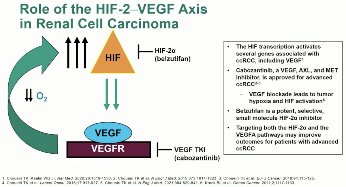 VEGF-targeting-0.jpg
