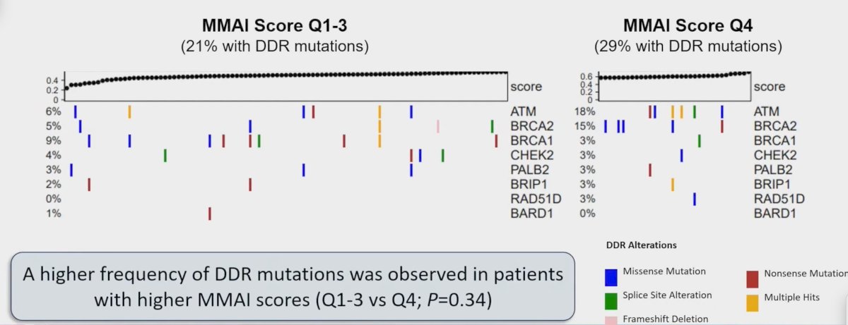 The MMAI score also correlated with DNA damage response mutations (ie. BRCA2/ATM), with a higher frequency of DDR mutation observed in patients with higher MMAI scores (Q1-3 vs Q4, p = 0.34)