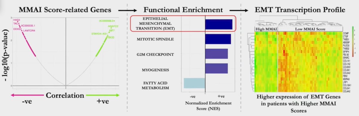 Finally, RNAseq showed differentially expressed genes of patients with high MMAI scores were enriched for the epithelial mesenchymal transition pathway (p < 0.01)