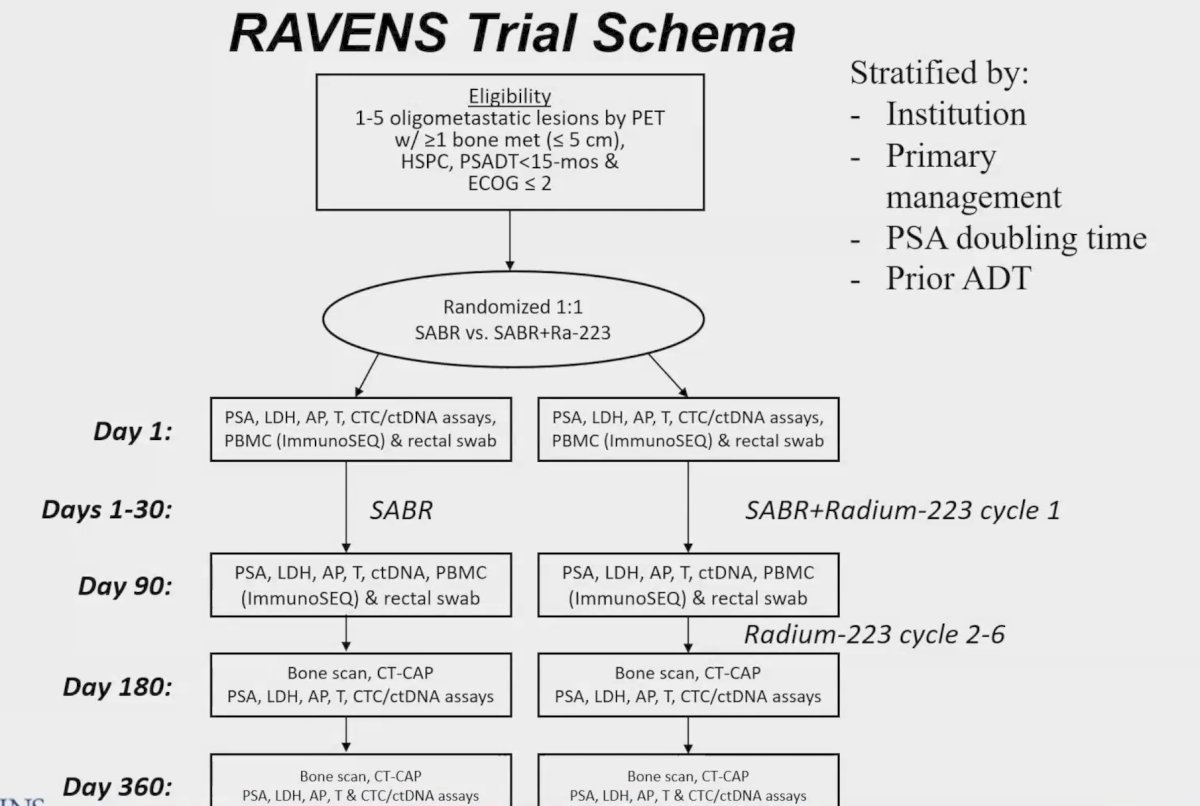 rial schema for RAVENS